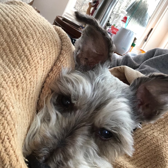 Meet your Posher, Kendra - Picture 10 of 11